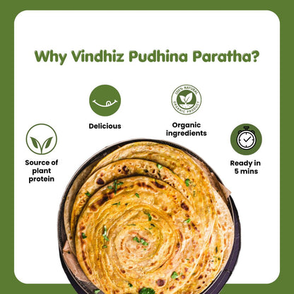 Pudina Paratha Masala | 500g